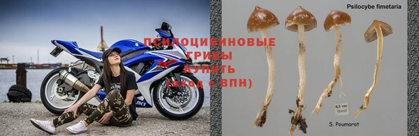 не бодяженный Аркадак