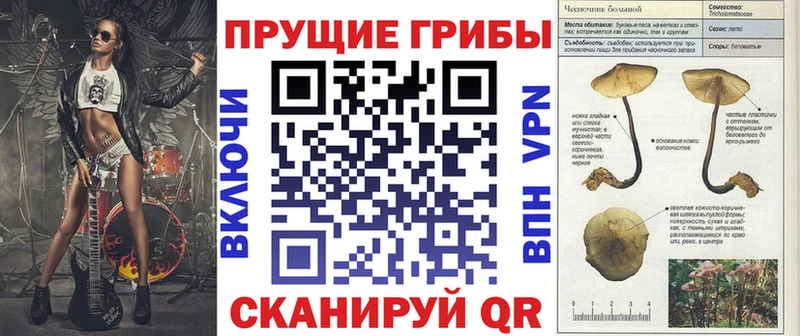 Псилоцибиновые грибы мухоморы  omg рабочий сайт  Отрадный 
